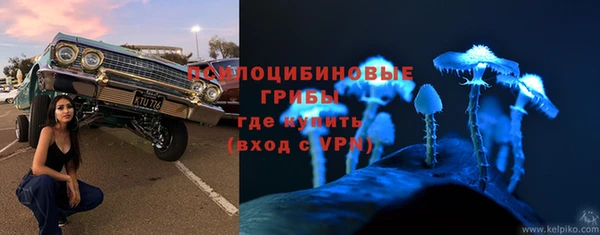 амф Костерёво