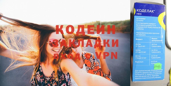 гашик Коряжма