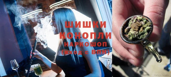 гашик Коряжма