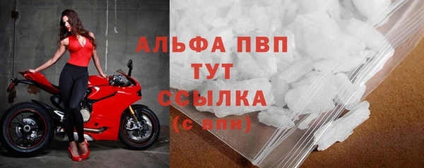 гашик Коряжма