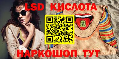 шишки Аргун