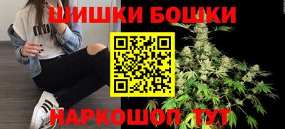 шишки Аргун