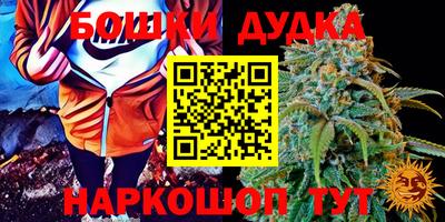 молекула духа Апрелевка