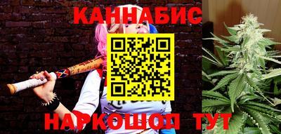 гидра Дубна