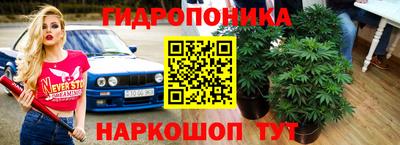 молекула духа Апрелевка