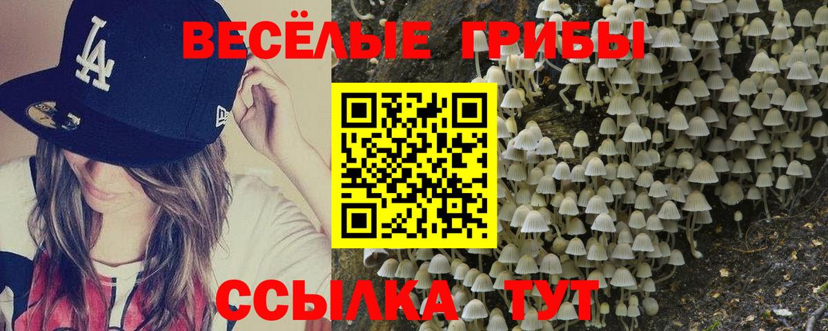 продажа наркотиков  Псилоцибиновые грибы GOLDEN TEACHER  Вход с VPN  Псилоцибиновые грибы MAGIC MUSHROOMS  Малоярославец 